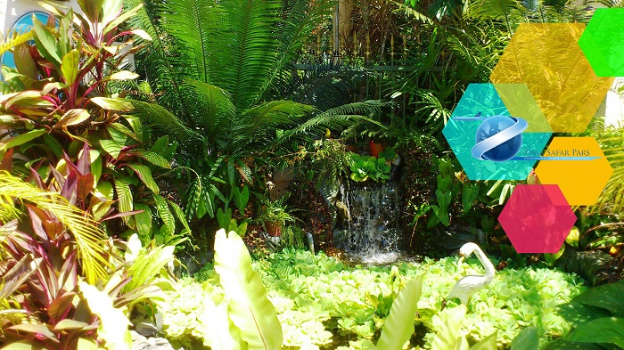 جاذبه های تفریحی موجود در باغ گیاه شناسی پنانگ ، زیما سفر 